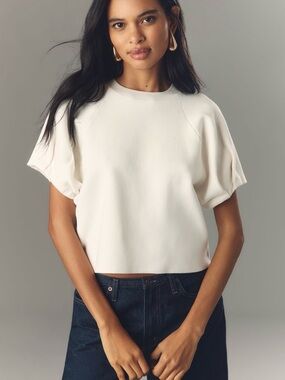 Anthropologie crew-neck sweater tee XS NWT